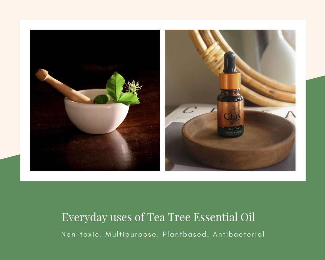 Everyday uses of Pure Tea Tree Essential Oil⠀
